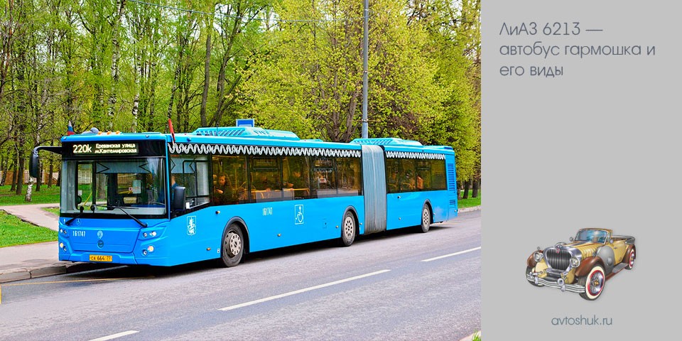 лиаз, 6213, автобус, гармошка, ЛиАЗ 6213