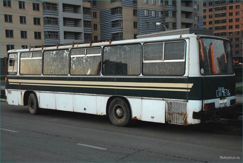 Автобус Ikarus 255.72 1978 года: особенности конструкции и эксплуатации