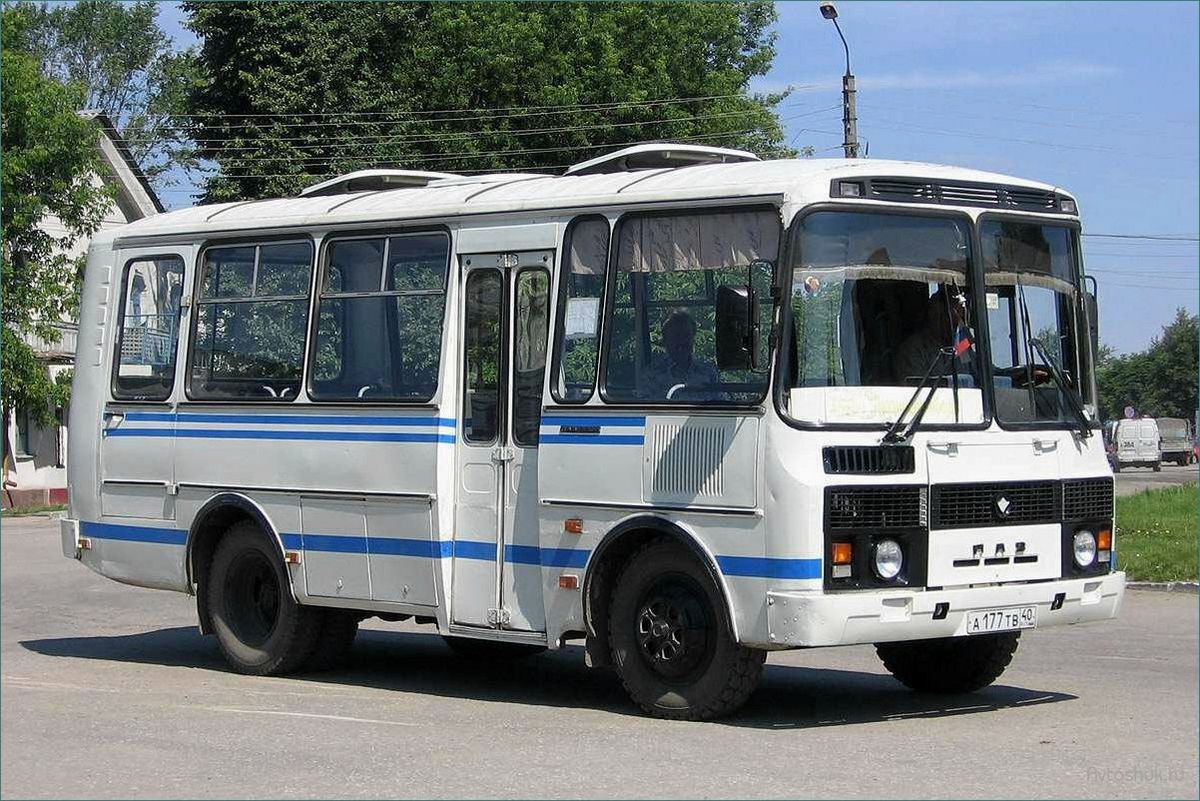 ПАЗ-3205 1991: история создания, технические характеристики и особенности модели